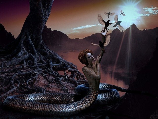 snake in dream