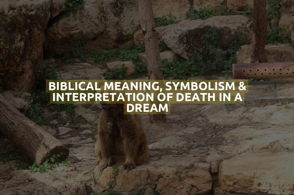 Biblical Meaning, Symbolism & Interpretation Of Death In A Dream