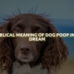 Biblical Meaning Of Dog Poop In A Dream