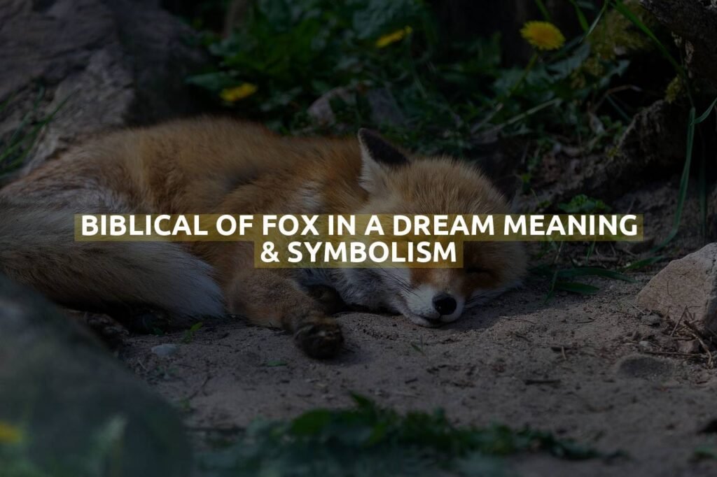 Biblical Of Fox In A Dream Meaning & Symbolism