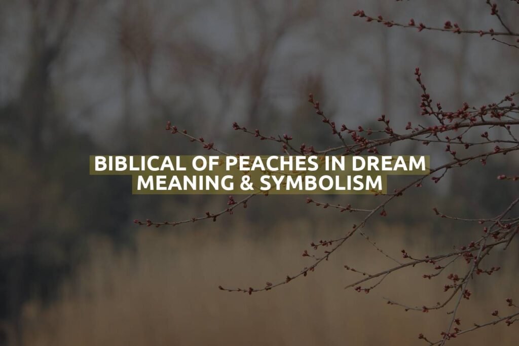 Biblical Of Peaches In Dream Meaning & Symbolism