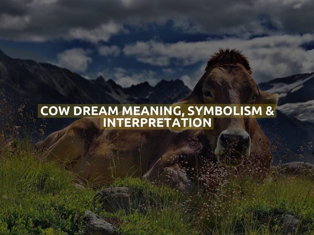 Cow Dream Meaning, Symbolism & Interpretation