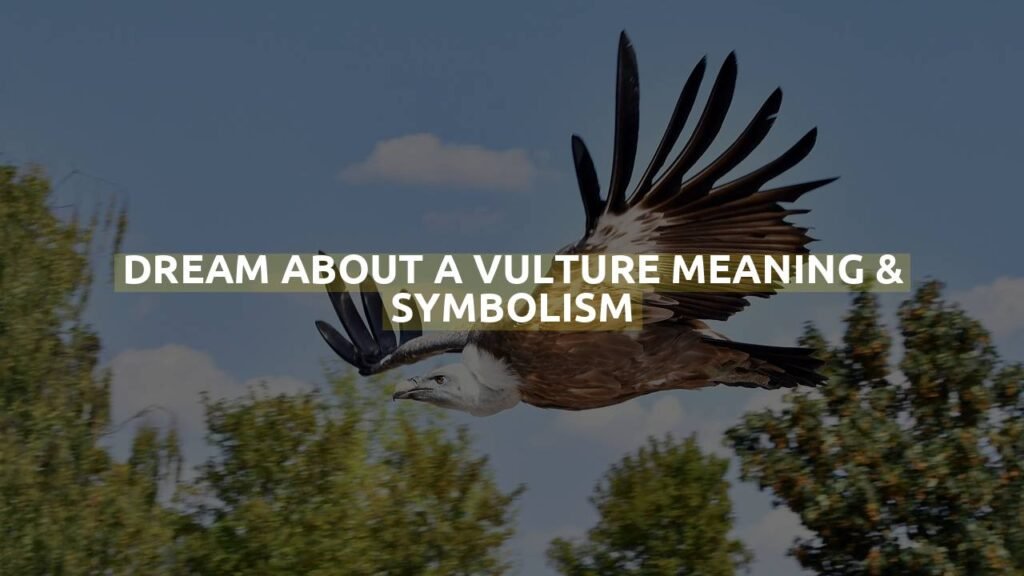 Dream About A Vulture Meaning & Symbolism