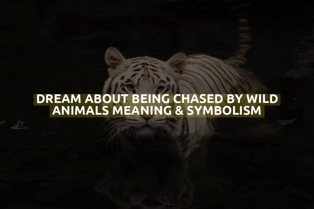 Dream About Being Chased By Wild Animals Meaning & Symbolism