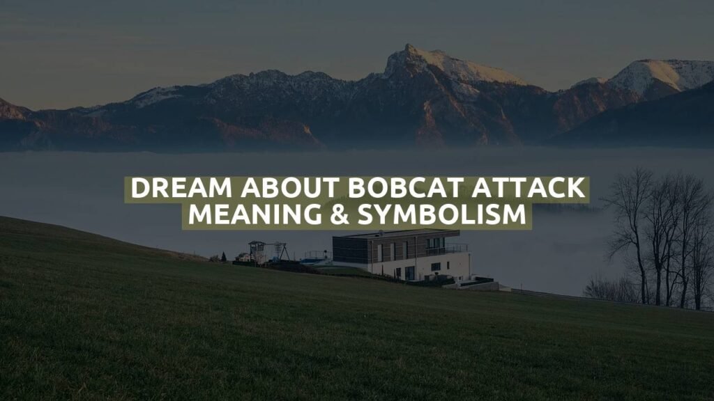 Dream About Bobcat Attack Meaning & Symbolism