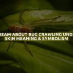 Dream About Bug Crawling Under Skin Meaning & Symbolism