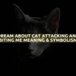 Dream About Cat Attacking And Biting Me Meaning & Symbolism