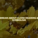 Dream About Clone Meaning & Symbolism