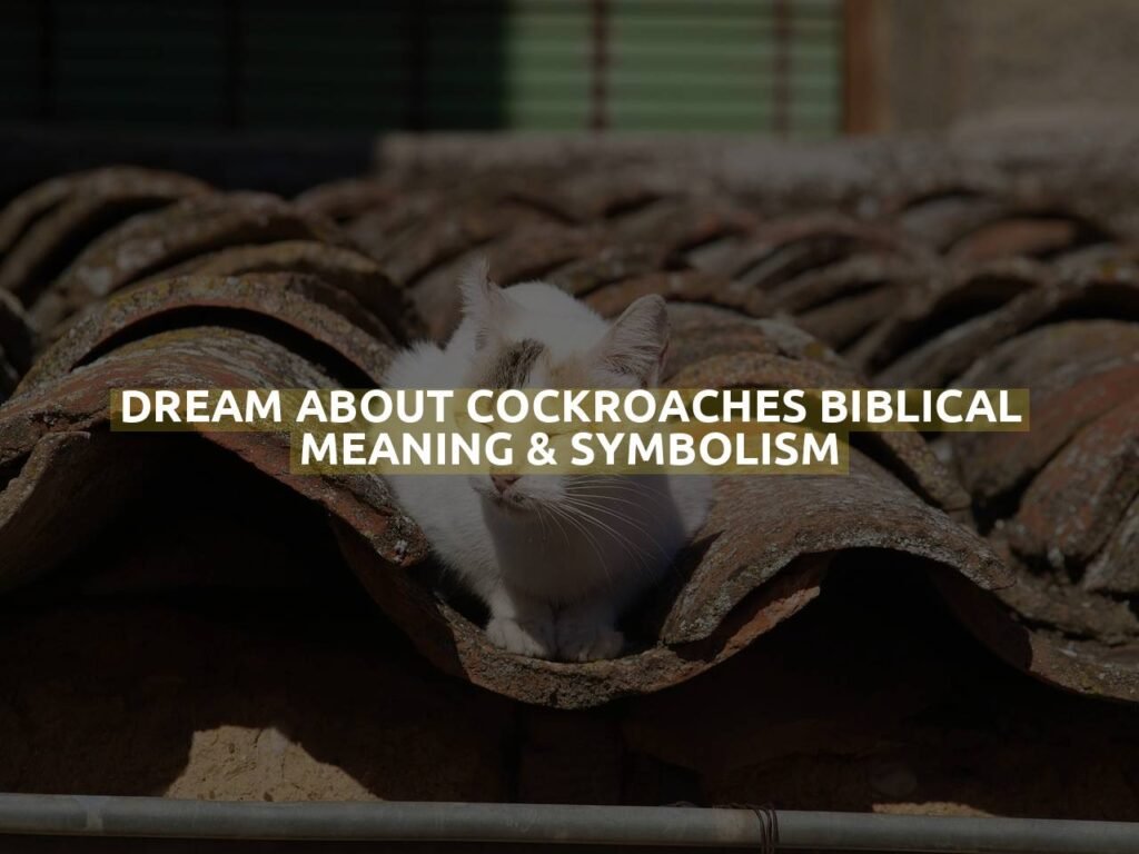 Dream About Cockroaches Biblical Meaning & Symbolism