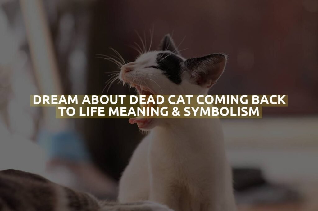 Dream About Dead Cat Coming Back To Life Meaning & Symbolism