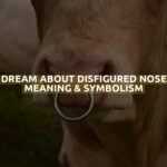 Dream About Disfigured Nose Meaning & Symbolism