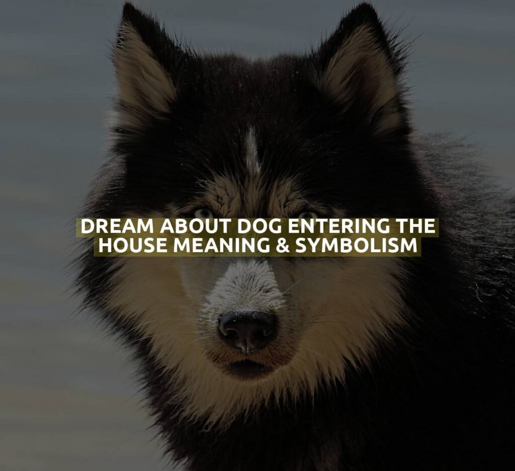 Dream About Dog Entering The House Meaning & Symbolism