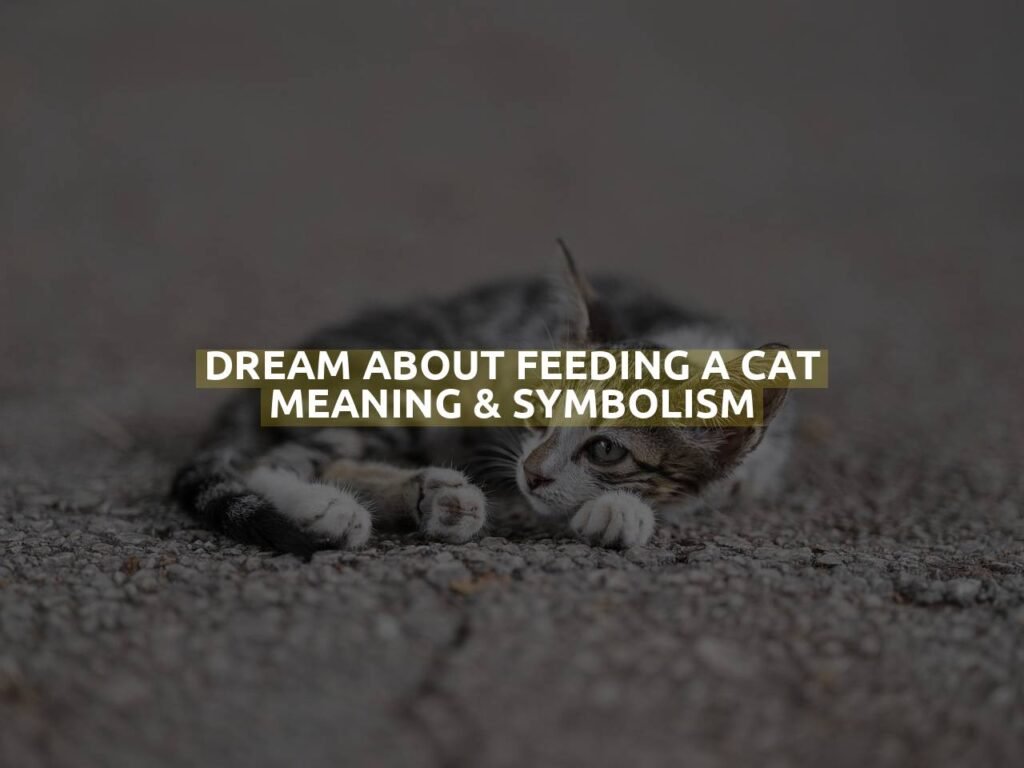 Dream About Feeding A Cat Meaning & Symbolism