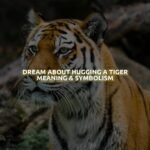 Dream About Hugging A Tiger Meaning & Symbolism