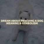 Dream About Rescuing A Dog Meaning & Symbolism