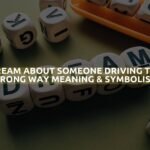 Dream About Someone Driving The Wrong Way Meaning & Symbolism