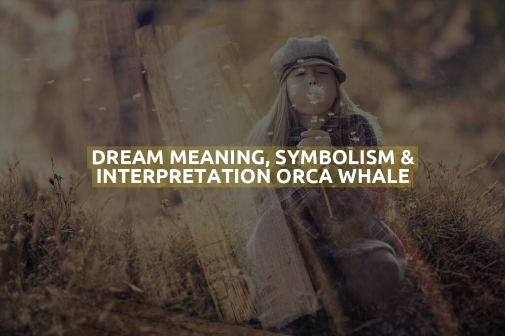 Dream Meaning, Symbolism & Interpretation Orca Whale