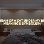 Dream Of A Cat Under My Bed Meaning & Symbolism