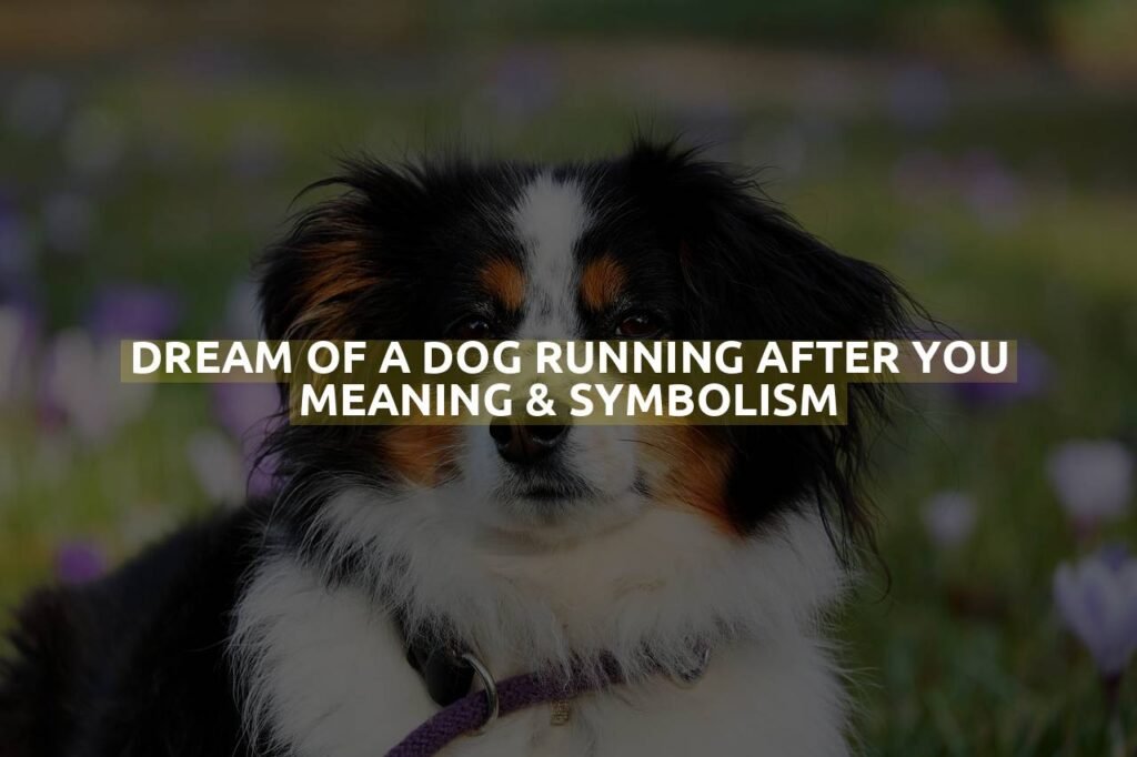 Dream Of A Dog Running After You Meaning & Symbolism