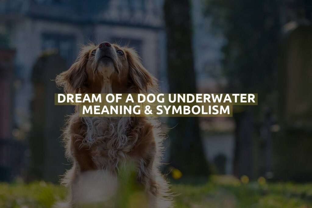 Dream Of A Dog Underwater Meaning & Symbolism