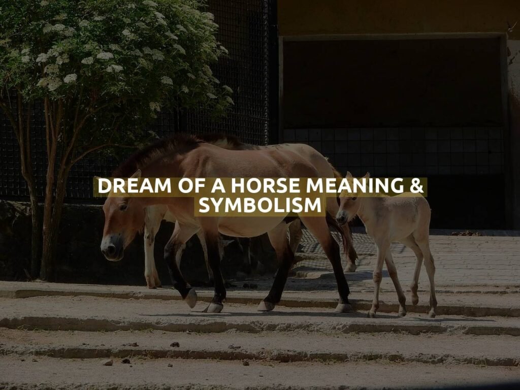 Dream Of A Horse Meaning & Symbolism