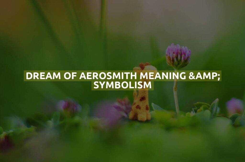 Dream Of Aerosmith Meaning & Symbolism