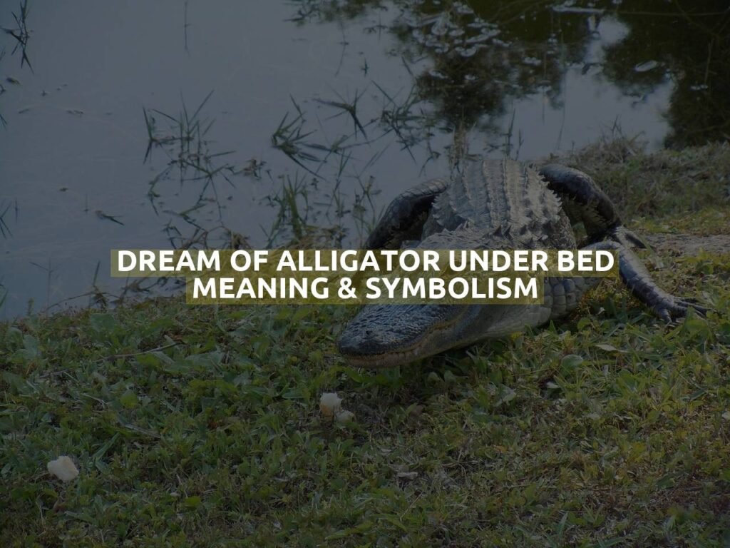 Dream Of Alligator Under Bed Meaning & Symbolism