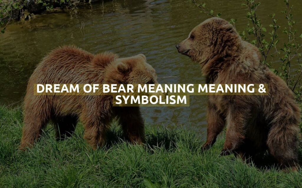 Dream Of Bear Meaning Meaning & Symbolism