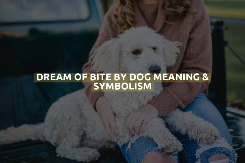 Dream Of Bite By Dog Meaning & Symbolism