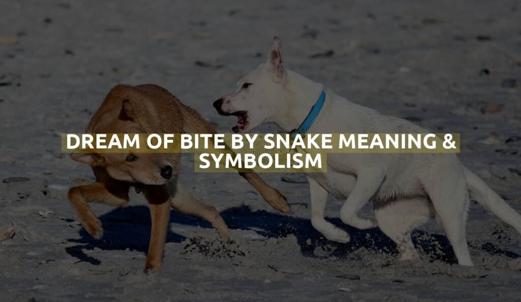 Dream Of Bite By Snake Meaning & Symbolism