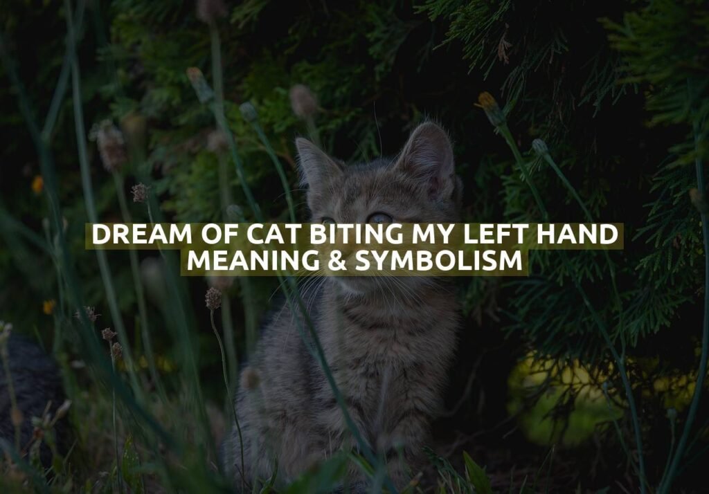 Dream Of Cat Biting My Left Hand Meaning & Symbolism