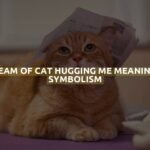 Dream Of Cat Hugging Me Meaning & Symbolism