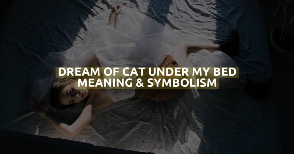 Dream Of Cat Under My Bed Meaning & Symbolism