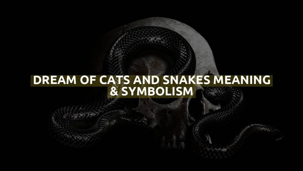 Dream Of Cats And Snakes Meaning & Symbolism