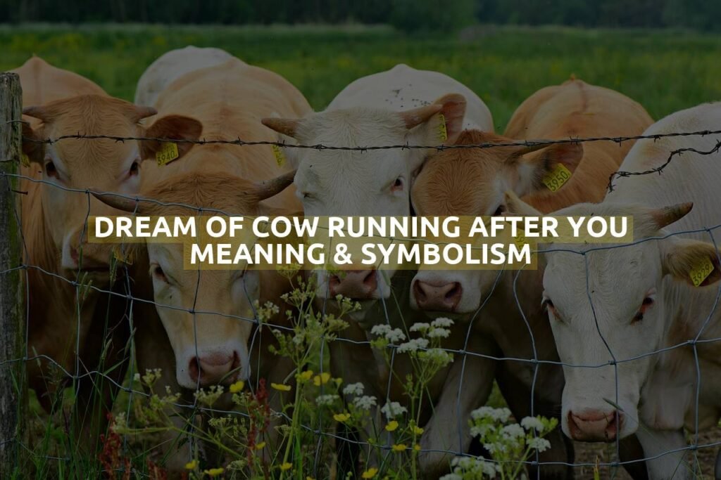 Dream Of Cow Running After You Meaning & Symbolism