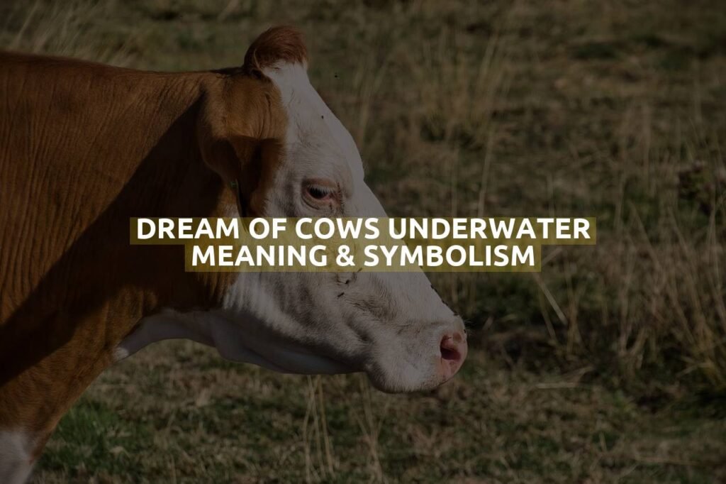 Dream Of Cows Underwater Meaning & Symbolism