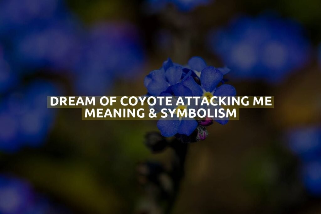 Dream Of Coyote Attacking Me Meaning & Symbolism