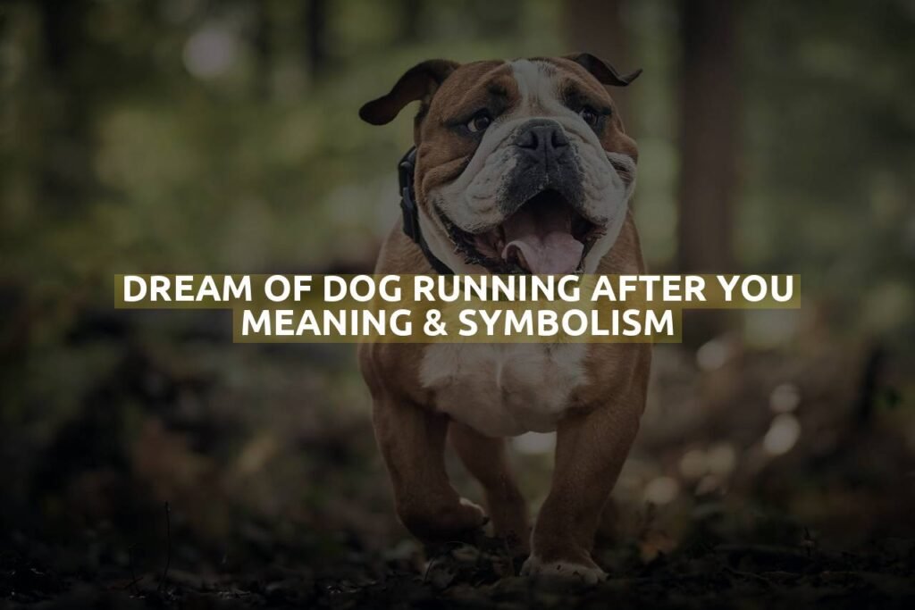 Dream Of Dog Running After You Meaning & Symbolism