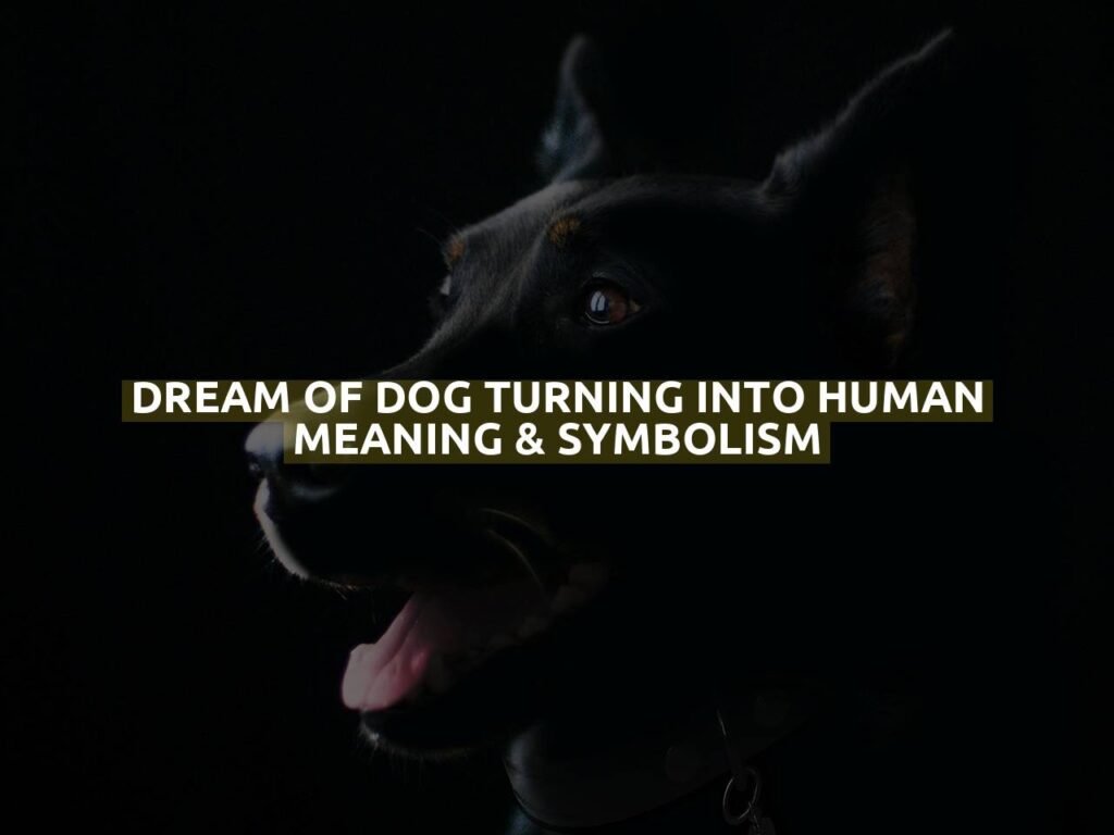 Dream Of Dog Turning Into Human Meaning & Symbolism