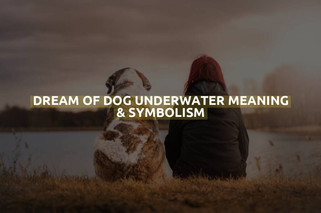 Dream Of Dog Underwater Meaning & Symbolism