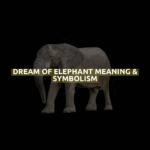 Dream Of Elephant Meaning & Symbolism