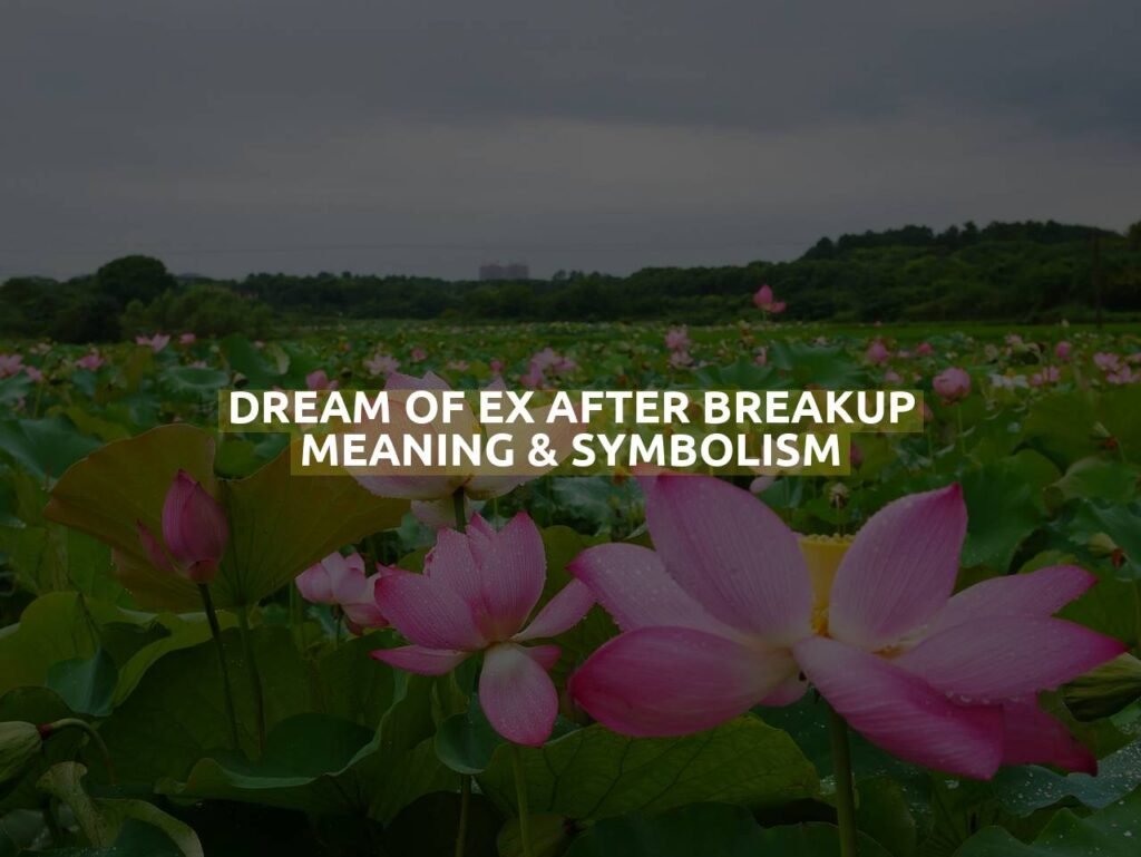 Dream Of Ex After Breakup Meaning & Symbolism