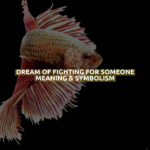 Dream Of Fighting For Someone Meaning & Symbolism