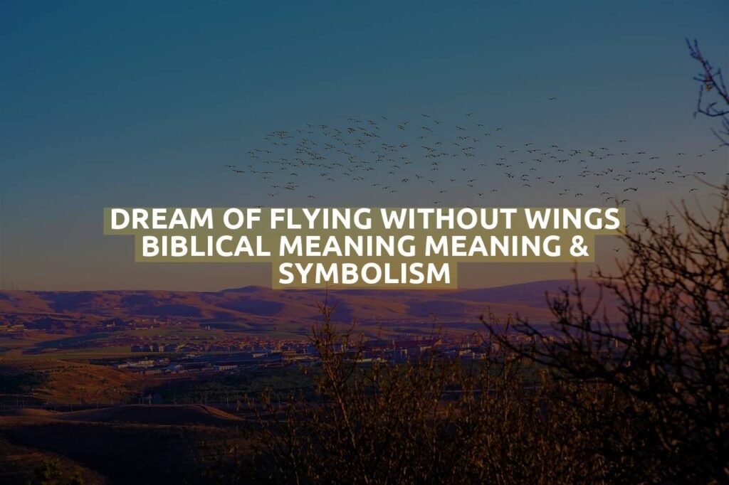 Dream Of Flying Without Wings Biblical Meaning Meaning & Symbolism