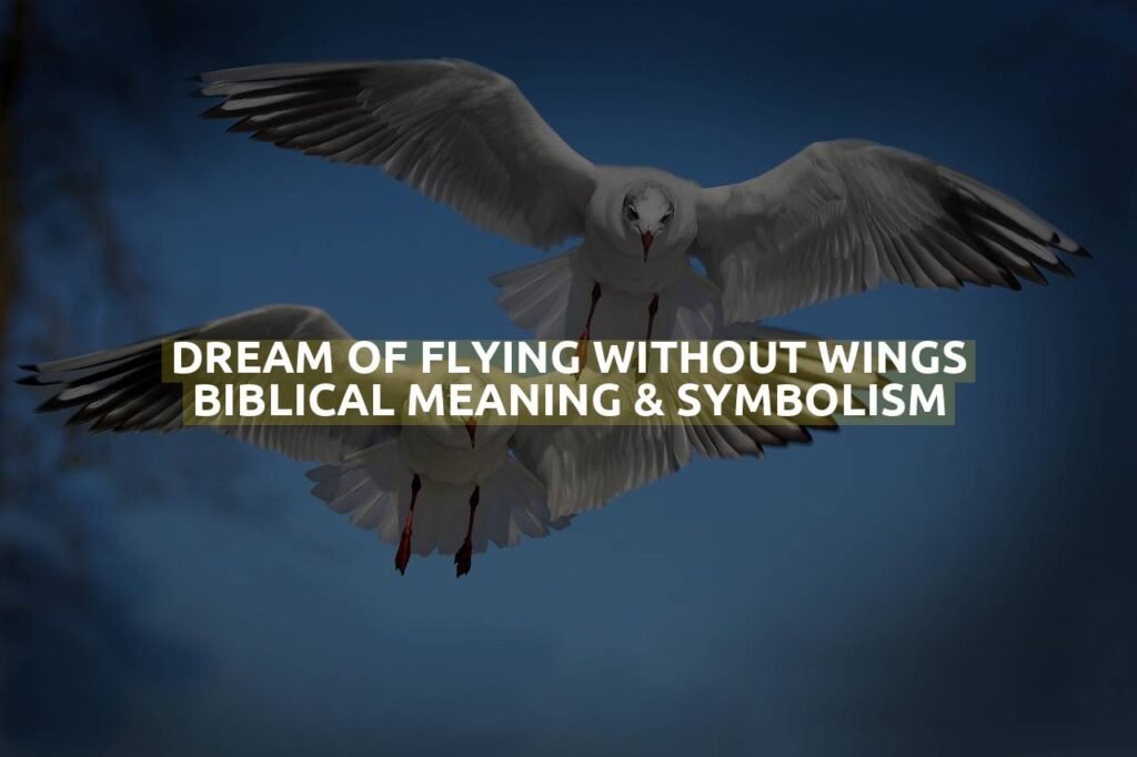 Dream Of Flying Without Wings Biblical Meaning & Symbolism