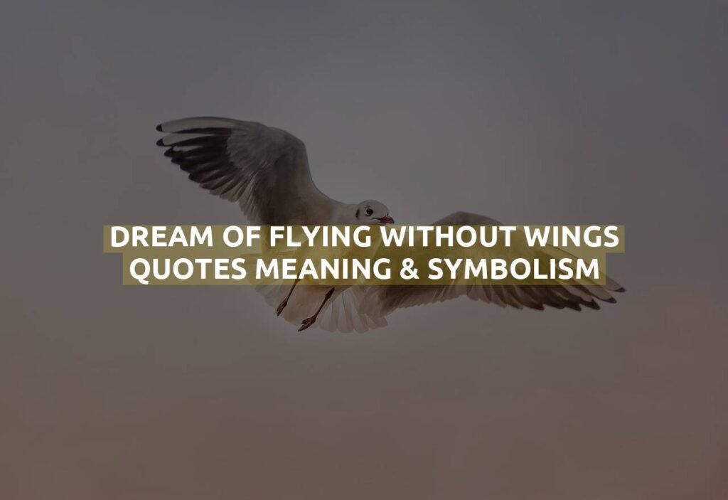 Dream Of Flying Without Wings Quotes Meaning & Symbolism