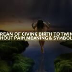 Dream Of Giving Birth To Twins Without Pain Meaning & Symbolism