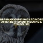 Dream Of Going Back To Work After Retirement Meaning & Symbolism