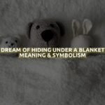 Dream Of Hiding Under A Blanket Meaning & Symbolism