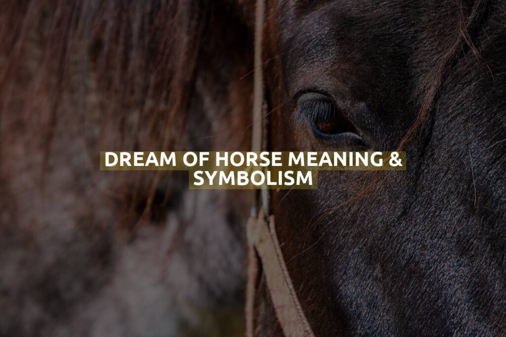 Dream Of Horse Meaning & Symbolism